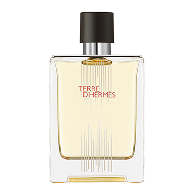 HERMES エルメス テールドゥエルメス 100ml