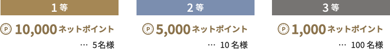 1等 10,000ネットポイント 5名様 2等 5,000ネットポイント 10名様 3等 1,000ネットポイント 100名様