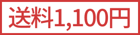 送料1,100円