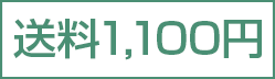 送料1,100円