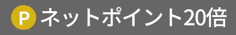 ポイント20倍