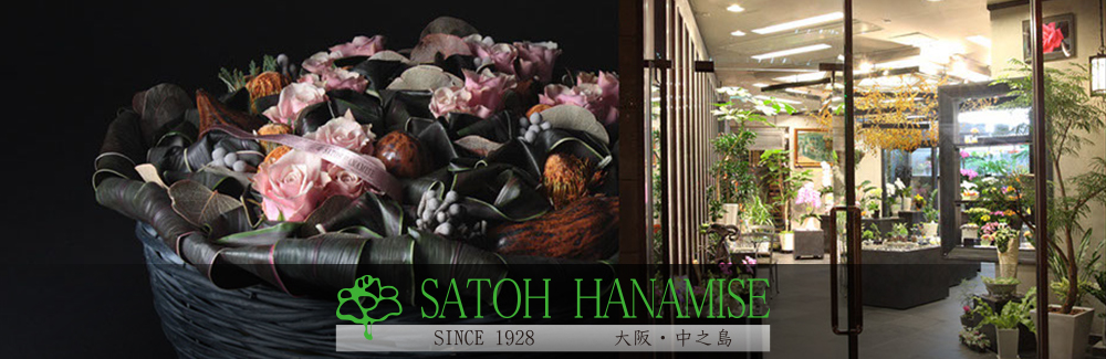 SATOH HANAMISE