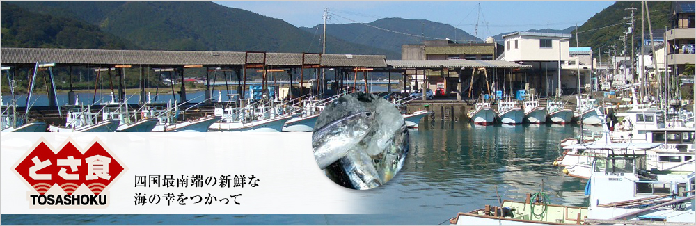 土佐食