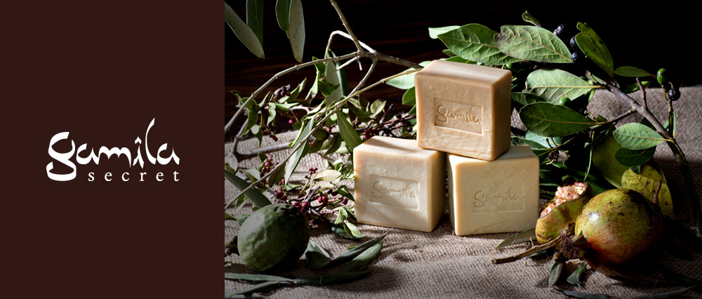 ガミラシークレット