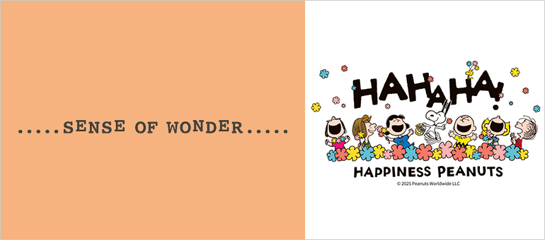 SENSE OF WONDER
