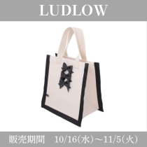 LUDLOW