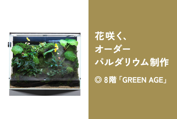 GA システムパルダ