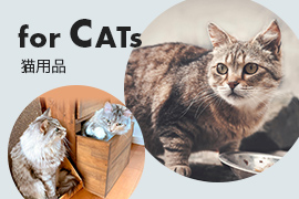 for CATS（猫用品）