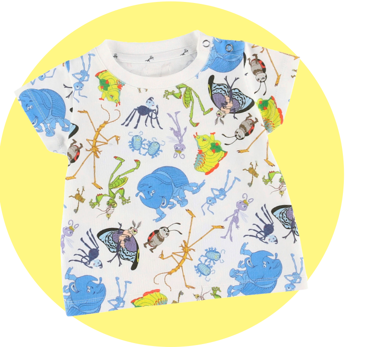Insect Collection