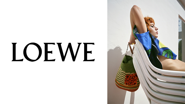 LOEWE - ❤️ロエベ❤️コインカードホルダー スイカ