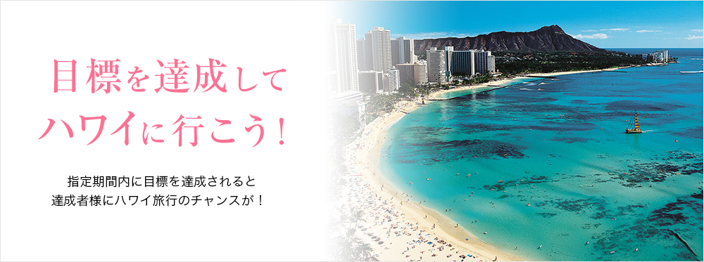 目標を達成してハワイに行こう！