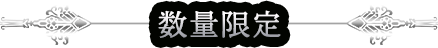 数量限定