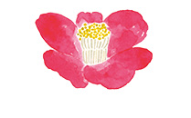 椿 花