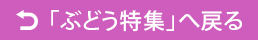 ぶどう特集へ戻る