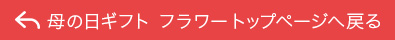 母の日ギフト フラワー　トップページへ戻る