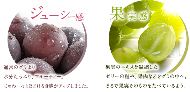 ジューシー感：通常のグミより水分たっぷり、フルーティー。じゅわ～っとほどける食感がアップしました。果実感：果実のエキスを凝縮したゼリーの粒や、果肉などをグミの中へ。まるで果実そのものをたべているよう。
