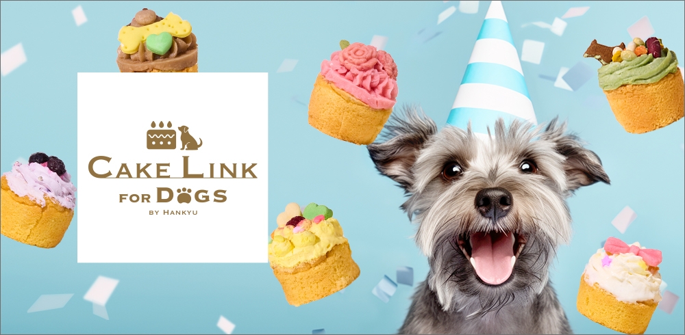 for dogs