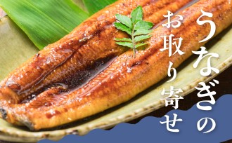 季節の贈りものにも
うなぎのお取り寄せ
