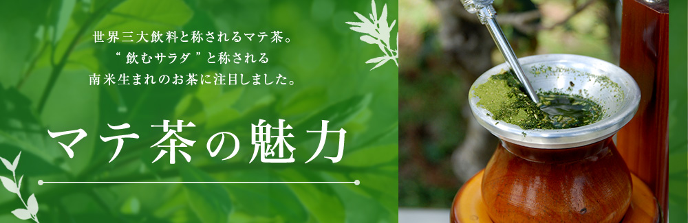 マテ茶の魅力