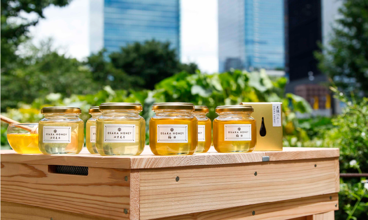 Hankyu PLAT FARM MARKET 「梅田ミツバチプロジェクト」ハニーカステラ