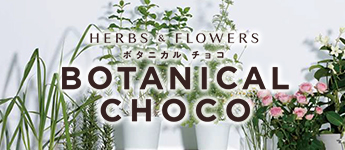 チョコレートを贈る相手や<br>シーンで選ぶ