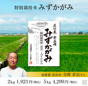 特別栽培 みずかがみ