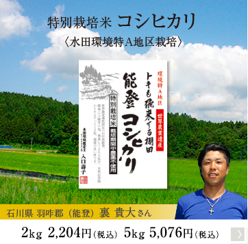 特別栽培 コシヒカリ