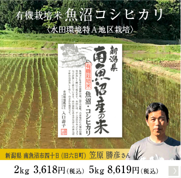 特別栽培 魚沼コシヒカリ