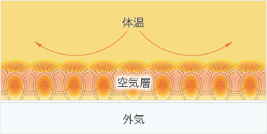 もちはだの断熱