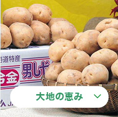 大地の恵み