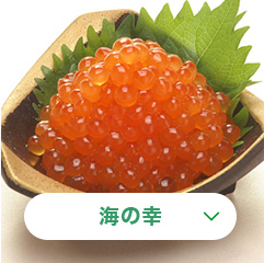 海の幸