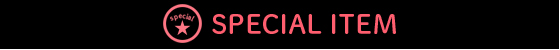 SPECIAL ITEM