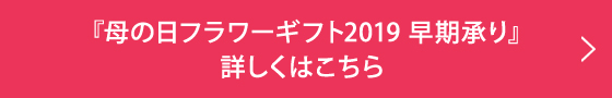 w̓t[Mtg2019 xڂ͂