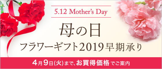 ̓t[Mtg2019 