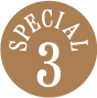 SPECIAL 3