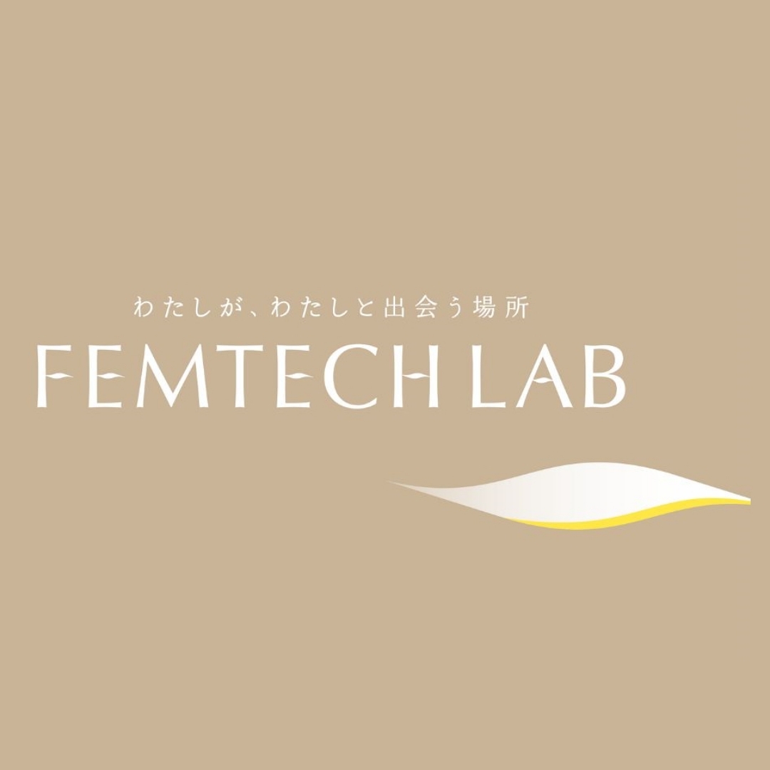 FEMTECH LAB