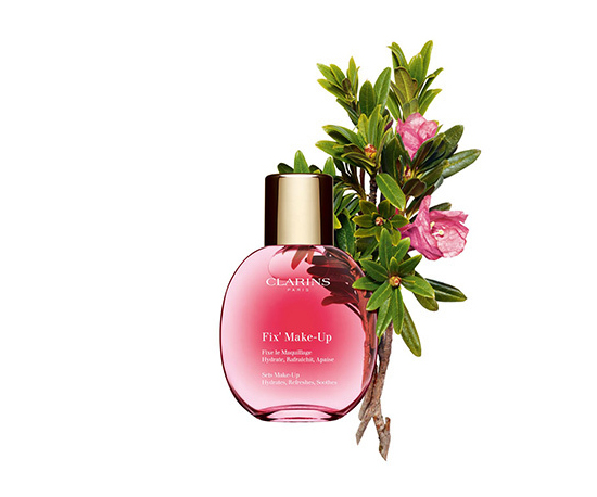 フィックス メイクアップ N