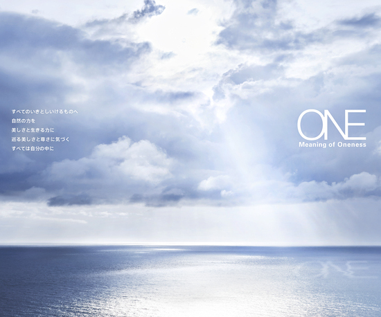エムアイエムシー MiMC ONE