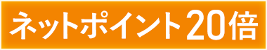 ネットポイント20倍
