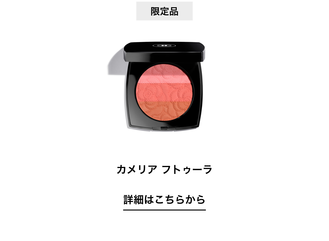 限定品 カメリア フトゥーラ 詳細はこちらから