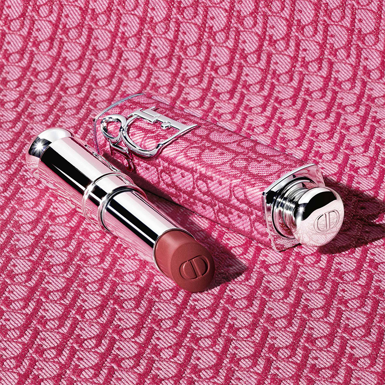 Dior ディオール　アディクト　おまとめ14本 Dior【限定10色&新作ケース4パターン】 | リトルミニマリストの