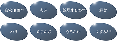 毛穴印象*4 キメ 乾燥小じわ*9 輝き ハリ 柔らかさ うるおい くすみ*10