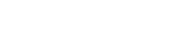 THE HOLIDAY GIFT GUIDE