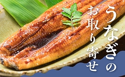 バイヤー厳選 国産うなぎ
うなぎのお取り寄せ