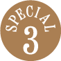 special03