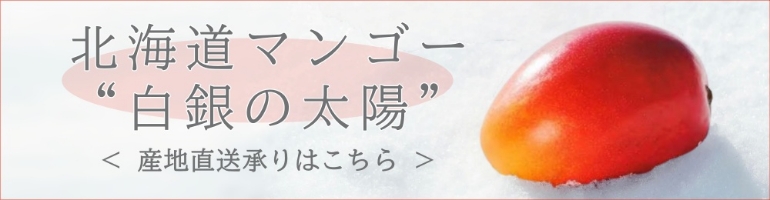 北海道マンゴー　白銀の太陽