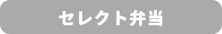 セレクト弁当