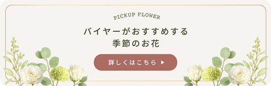 バイヤーがおすすめする季節のお花　詳しくはこちら