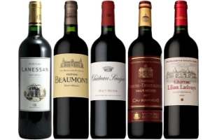 メドック銘醸シャトー
飲み比べ5本セット
【Cセット】