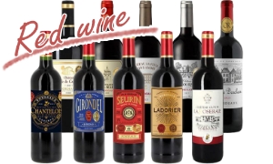 フランスボルドー金賞受賞
赤ワイン10本セット【Fセット】